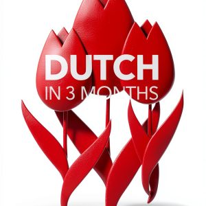 DK Hugo in 3 Months Dutch Language Guide Kindle eBook 257 Pages-0