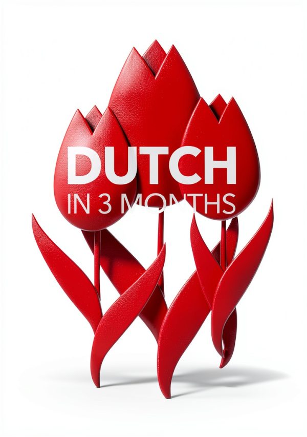 DK Hugo in 3 Months Dutch Language Guide Kindle eBook 257 Pages-0