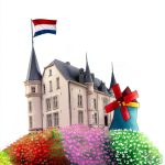Dutch Phrasebook Kindle Edition by Travel Guides 186‑Page Pocket Guide-0