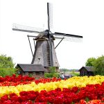 Dutch Language Instruction eBook Union House Publishing 2631 Pages-0