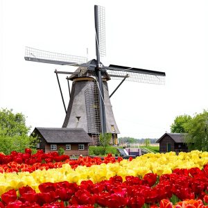 Dutch Language Instruction eBook Union House Publishing 2631 Pages-0